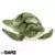 Sea Turtle Small Signature