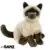 Siamese Cat Signature