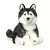 Siberian Husky Signature