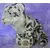 Webkinz Signature - Snow Leopard Signature