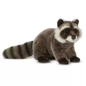 Racoon webkinz clearance