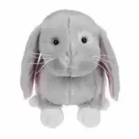 Baby Bunny
