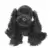 Black Cocker Spaniel