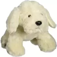 Blonde Labrador