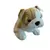 Bulldog Puppy