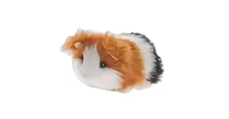 Webkinz shop guinea pig