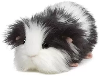 Webkinz guinea pig discount
