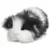 Cookies N' Cream Guinea Pig