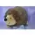 Webkinz Regular - Hedgehog