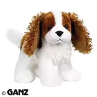 King Charles Spaniel