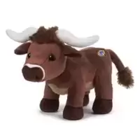 Longhorn Steer