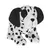 Salt and Pepper Dalmatian