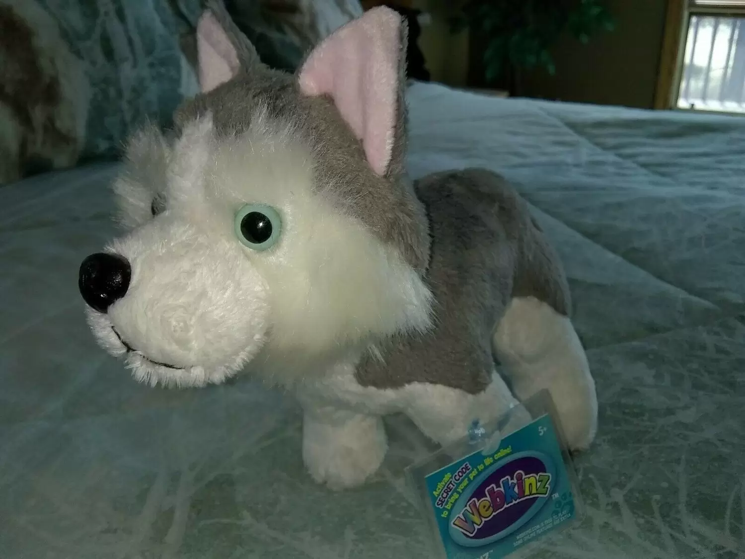 Webkinz sales siberian husky