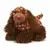Spotted Spaniel
