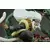 Oniri Creations - Sandaime Hokage – The Last Fight