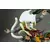 Oniri Creations - Sandaime Hokage – The Last Fight