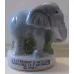 L'Elephant d'Afrique