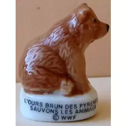 L'ours brun des Pyrénées