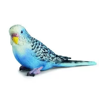 Wild Life - Perruche bleue