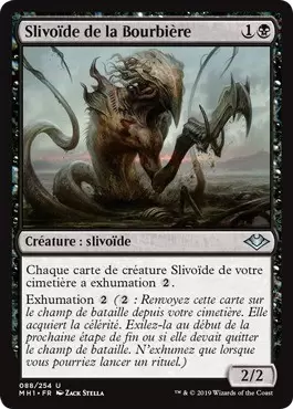 Horizons du Modern - Slivoïde de la Bourbière