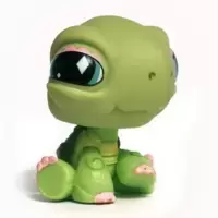 LPS 504