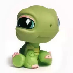 LPS 504