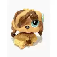 LPS 1077