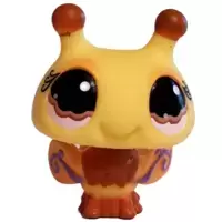 LPS 1135