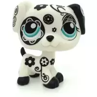 LPS 1613