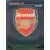 UEFA Champions League 2007-2008 - Logo - Arsenal FC