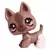 LPS 491