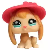 LPS 864
