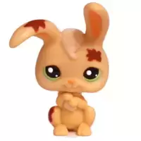 LPS 972