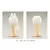 Cu-Poche - White Fox Spirit - Cu-Poche Friends