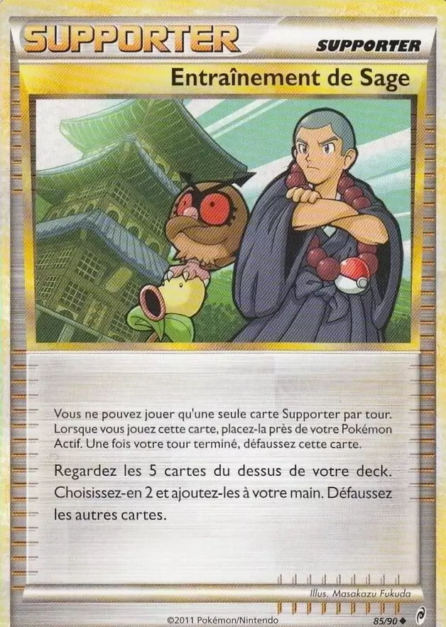 Pokémon L\'appel des Légendes - Entraînement de Sage
