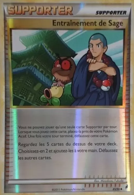 Pokémon L\'appel des Légendes - Entraînement de Sage Reverse