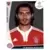 Hamit Altintop - FC Bayern München