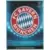 UEFA Champions League 2009-2010 - Logo - FC Bayern München