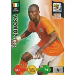 Didier Zokora - Ivory Coast