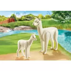 Alpaca and baby