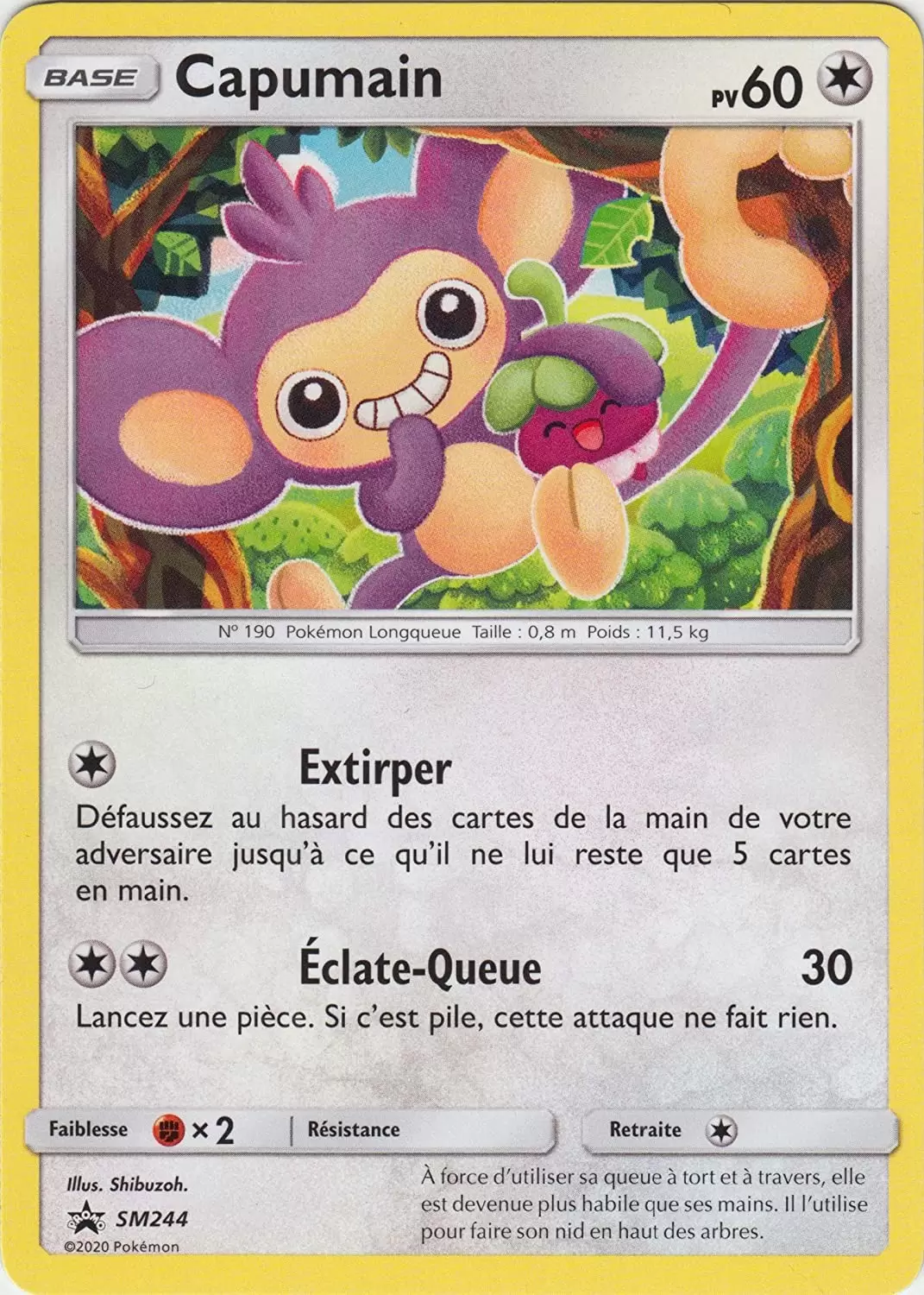 Evoli GX - carte Pokémon SM242 Cartes Promo Black Star Soleil et Lune