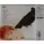 Mylène Farmer - L\'autre CD Japon