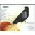 Mylène Farmer - L\'autre CD Ukraine Premier Pressage