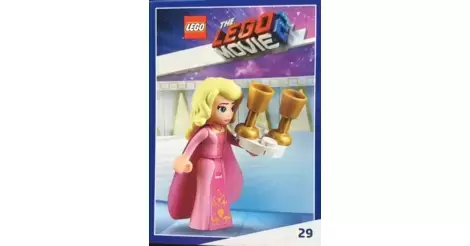 Cartes à collectionner The Lego Movie 2 - Vinted