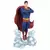 DC Gallery - Superman Ascendant