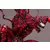 Marvel Kotobukiya - Marvel Universe - Maximum Carnage - Fine Art