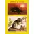 Tarzan - 2ème série (Sagédition) - l\'île vivante d\'Azkorim