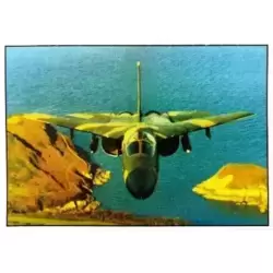 Dynamique générale F-111
