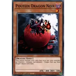 Poussin Dragon Noir