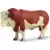 Taureau simmental français